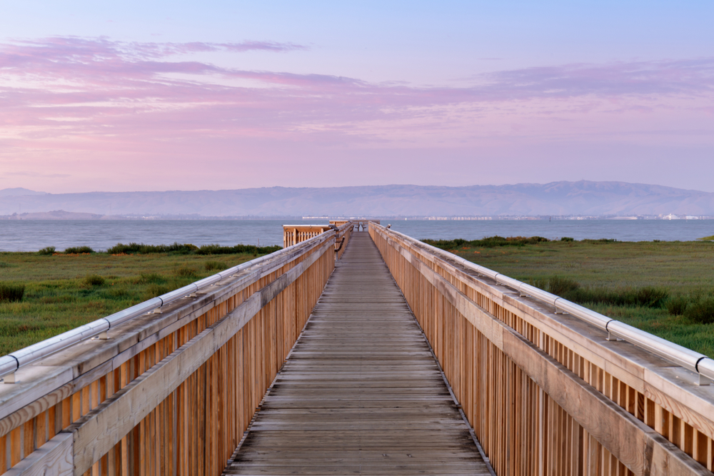 palo alto baylands nature reserve