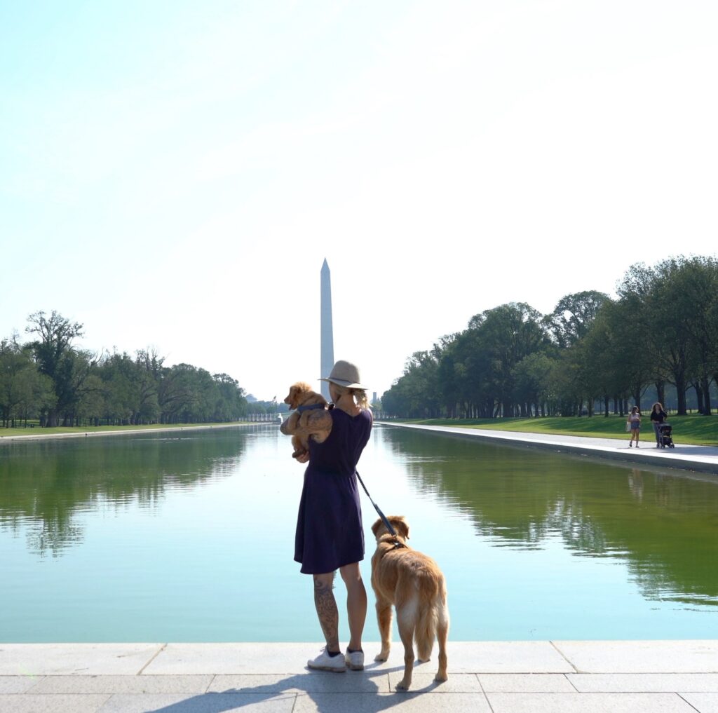 a person and a dog at the Washington Monument