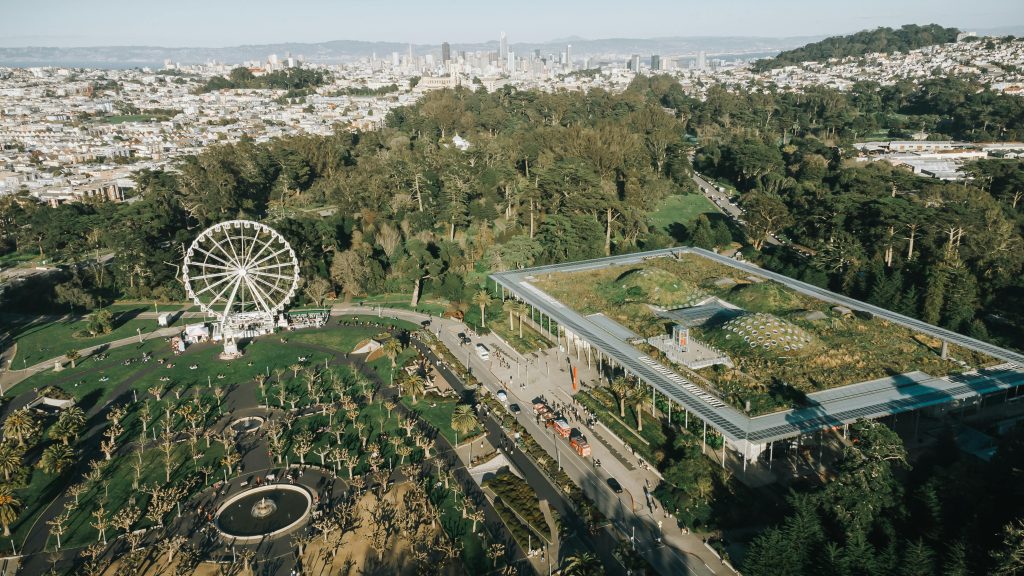 An Aerial View of Green Trees and White Ferris Wheel in San Francisco.